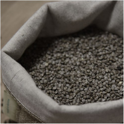 GRAINS DE SARRASIN NOIR BIOLOGIQUE