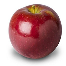 POMME MACINTOSH BIO 2LB