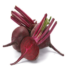 BETTERAVE ROUGE BIO