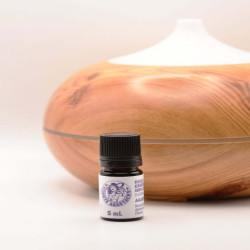 HUILE ESSENTIELLE D’AGASTACHE