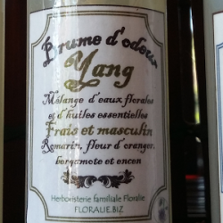 BRUME D'ODEUR, YANG